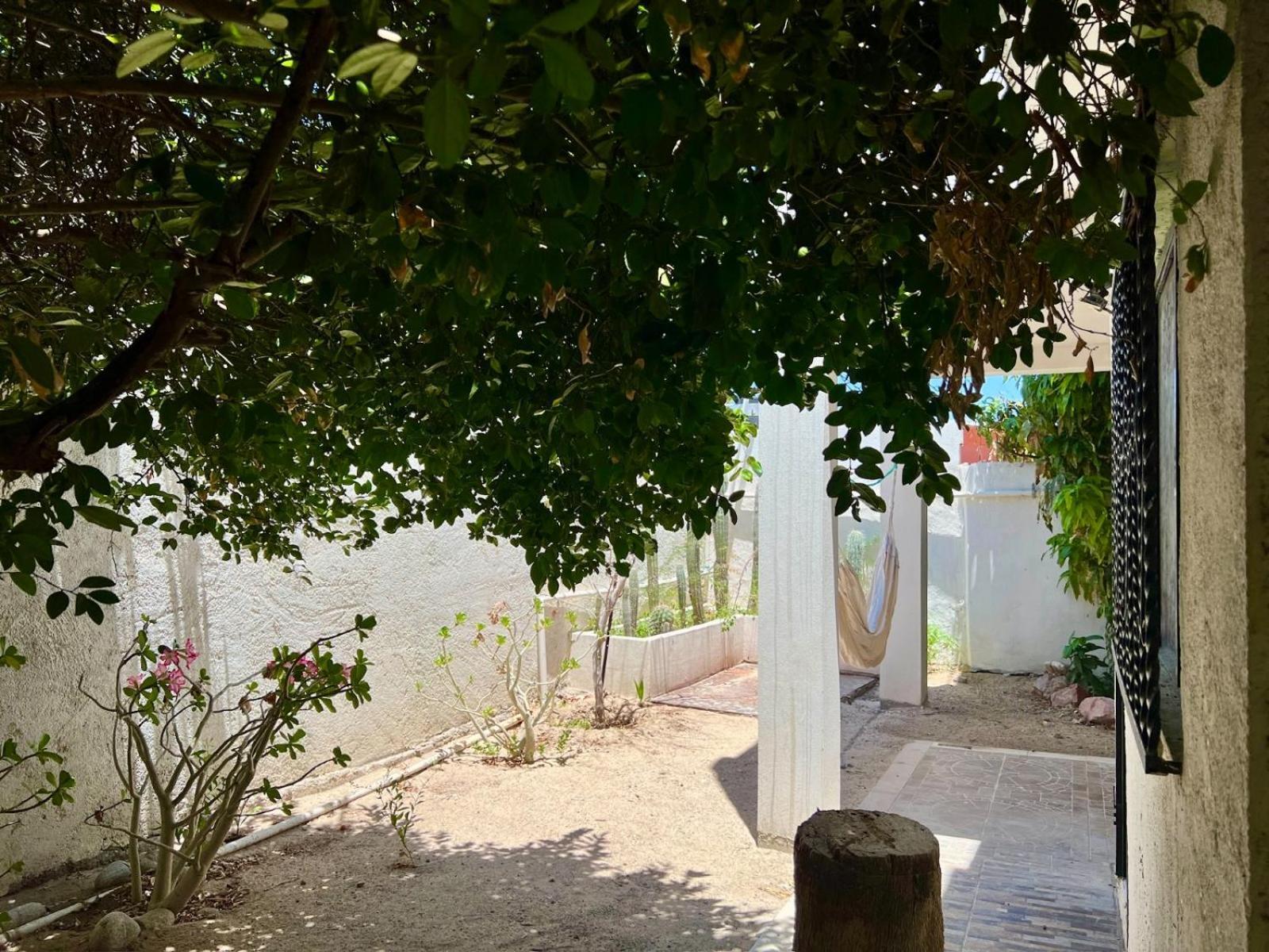 شقة La Casa Del Pescador لاباز المظهر الخارجي الصورة